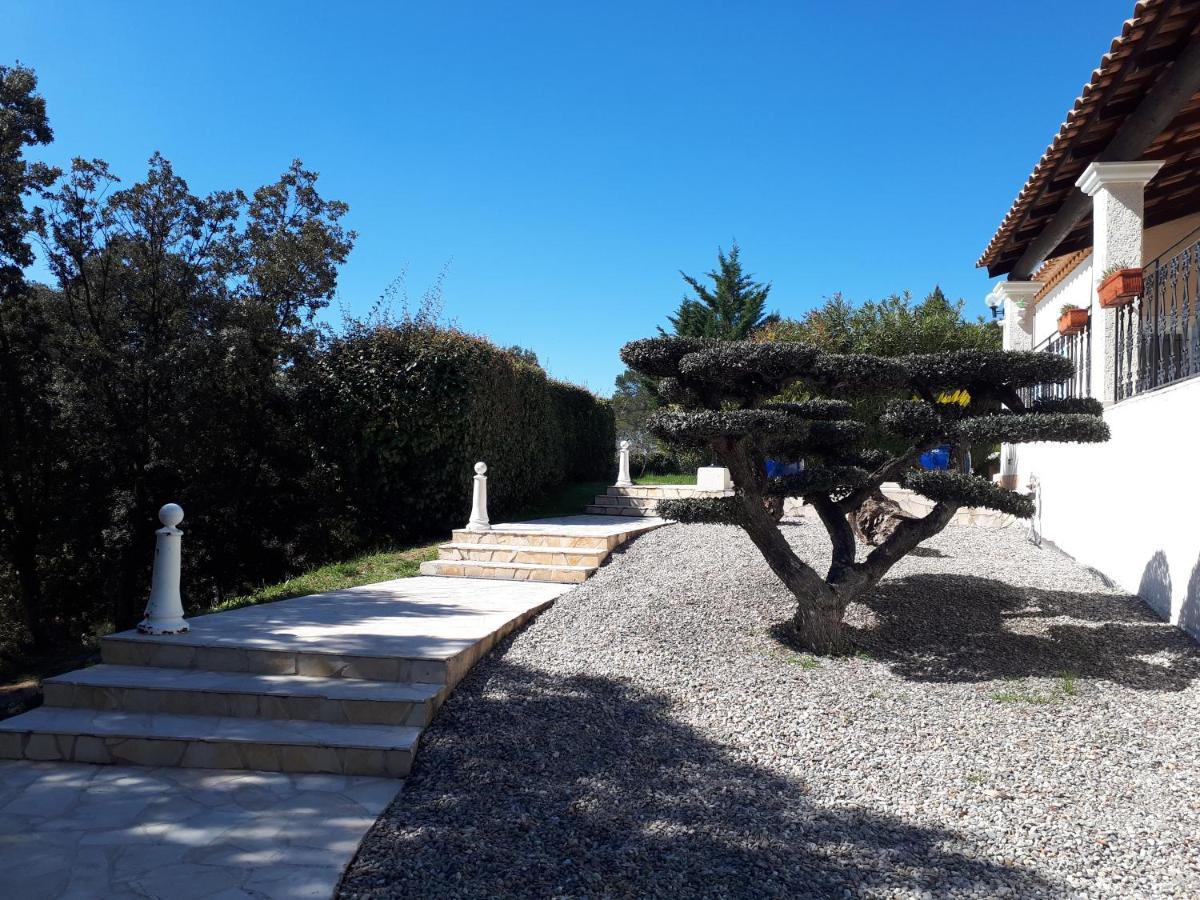 L'Oustaou De L'Estama Bed and Breakfast Rocbaron Buitenkant foto