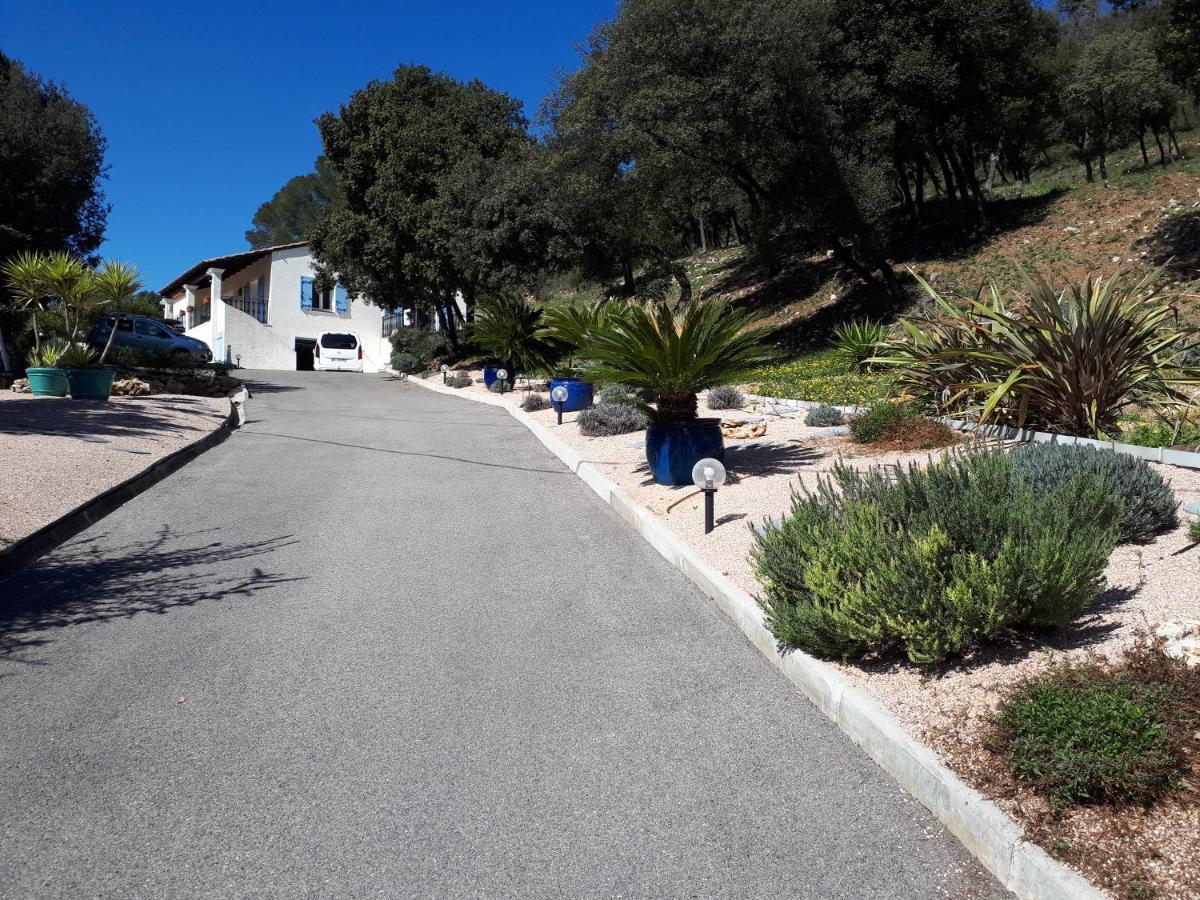 L'Oustaou De L'Estama Bed and Breakfast Rocbaron Buitenkant foto